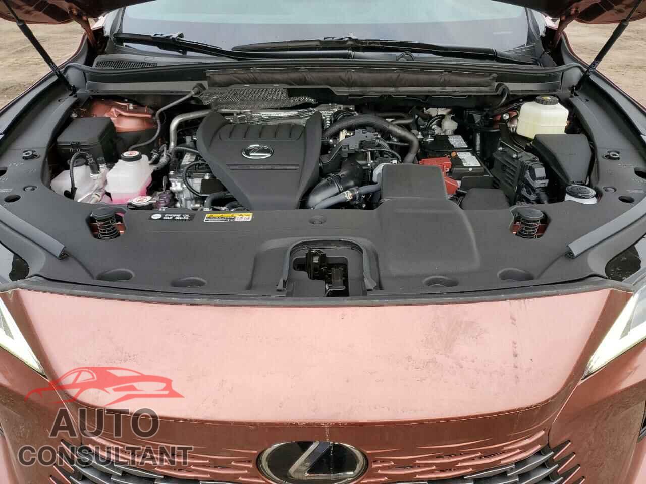 LEXUS RX350 2024 - 2T2BAMCA2RC063181