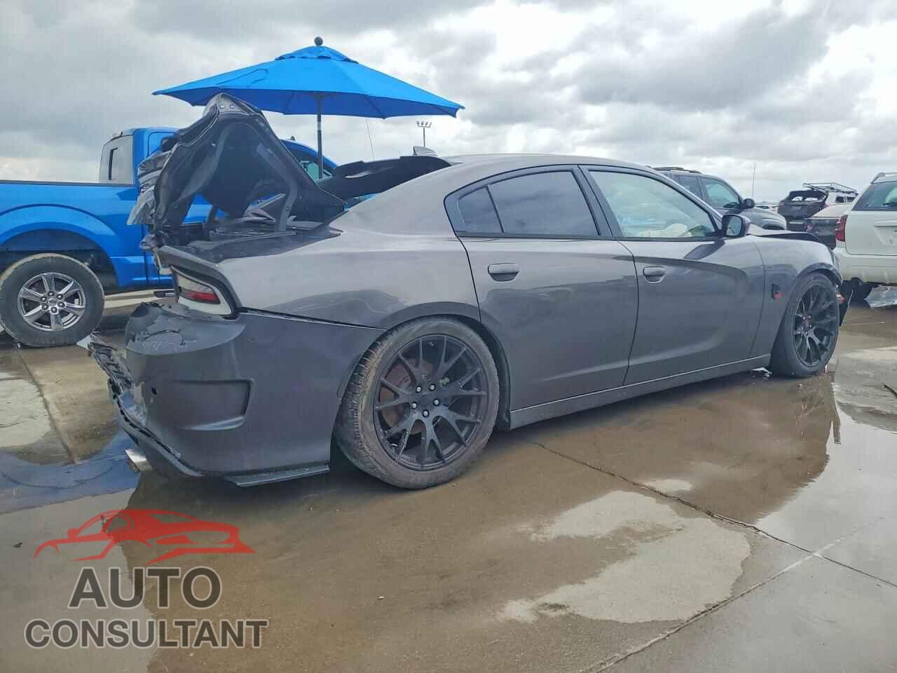 DODGE CHARGER 2015 - 2C3CDXCT4FH730499