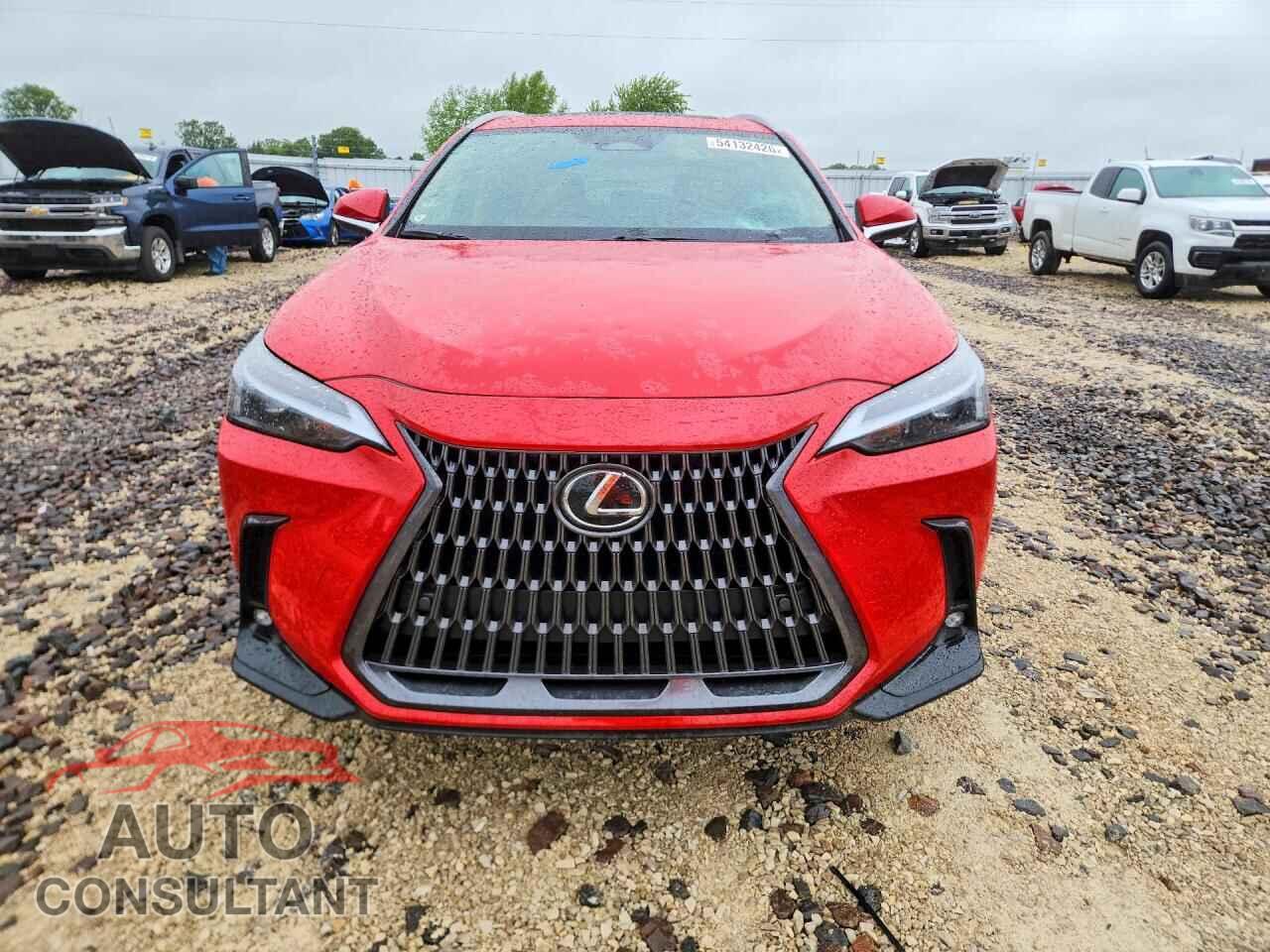 LEXUS NX 2024 - 2T2GDCAZ7RC014316
