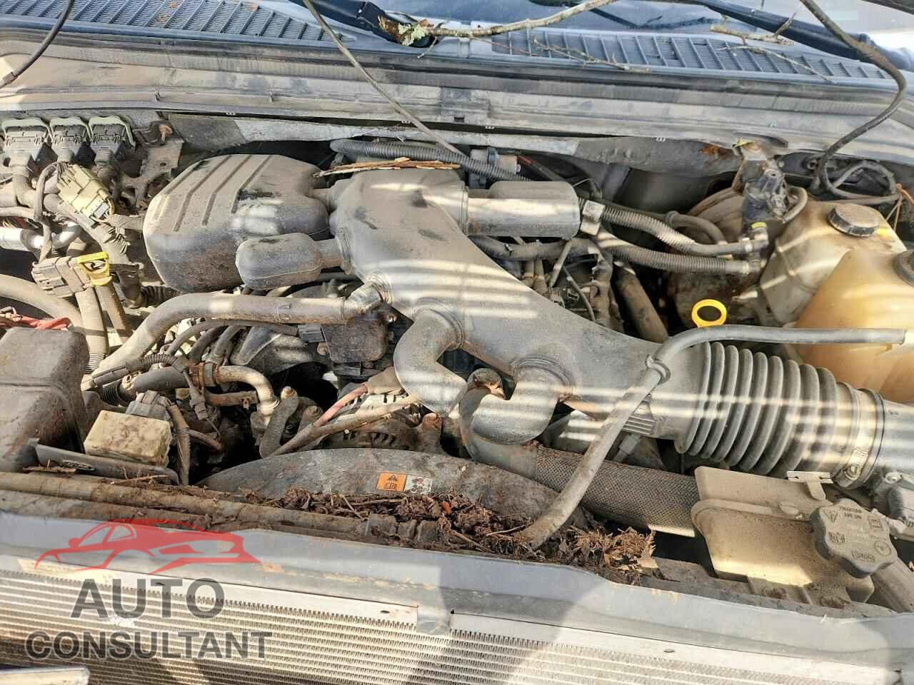 FORD F250 2009 - 1FTSX21Y59EA53782