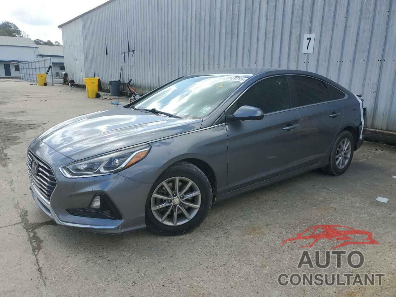 HYUNDAI SONATA 2019 - 5NPE24AF7KH761026