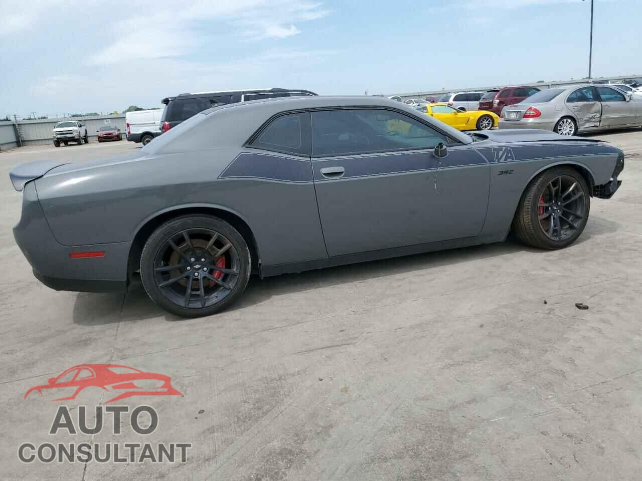 DODGE CHALLENGER 2019 - 2C3CDZFJ6KH541515