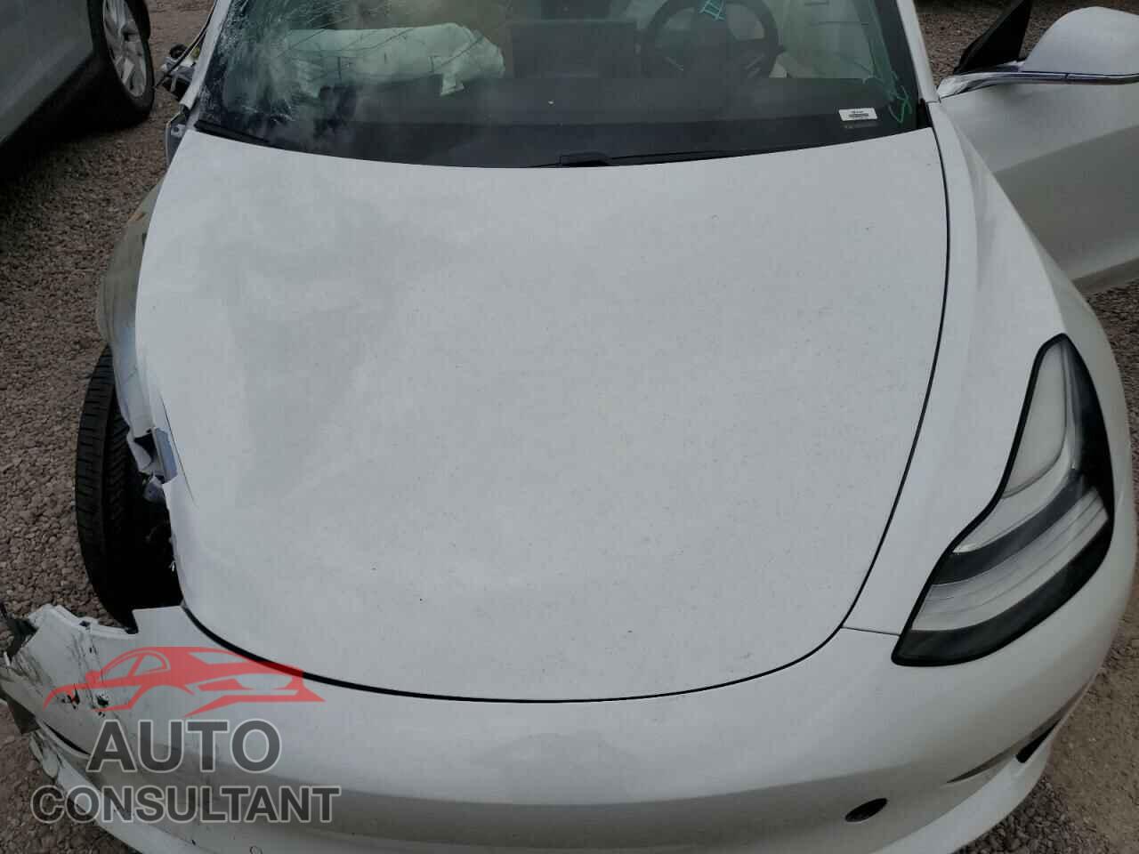 TESLA MODEL 3 2019 - 5YJ3E1EA1KF332894