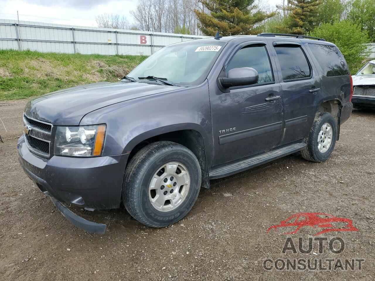 CHEVROLET TAHOE 2010 - 1GNUKAE02AR280888