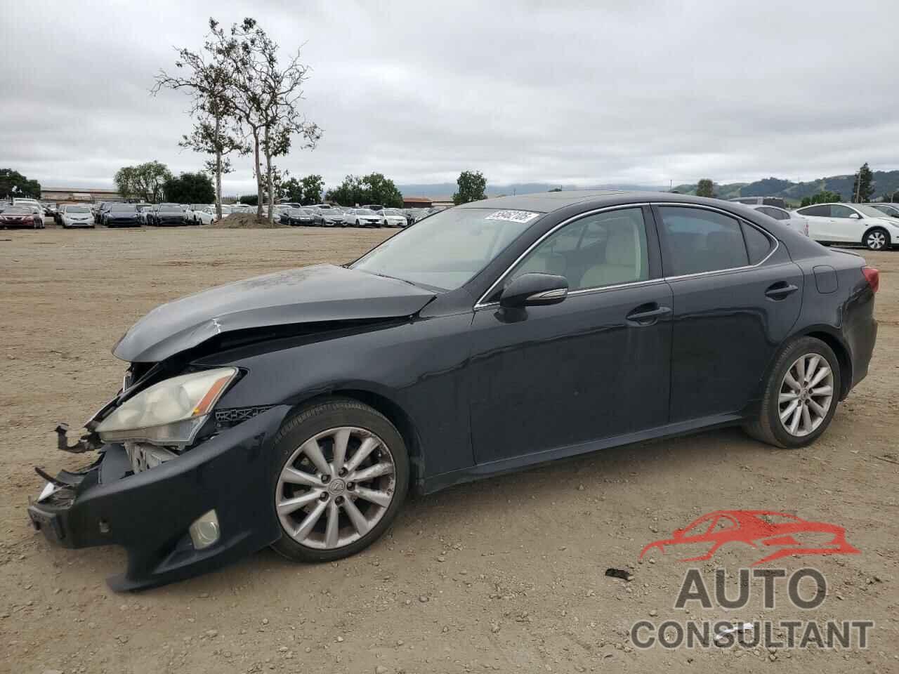 LEXUS IS 2009 - JTHBK262595105249