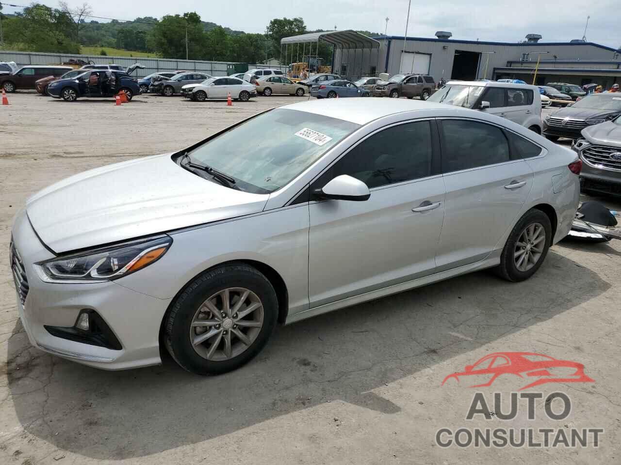 HYUNDAI SONATA 2019 - 5NPE24AF7KH794107