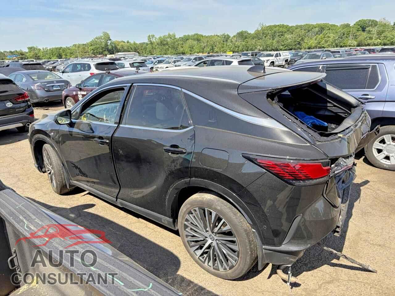 LEXUS UNKNOWN 2024 - 2T2BBMCA7RC034854