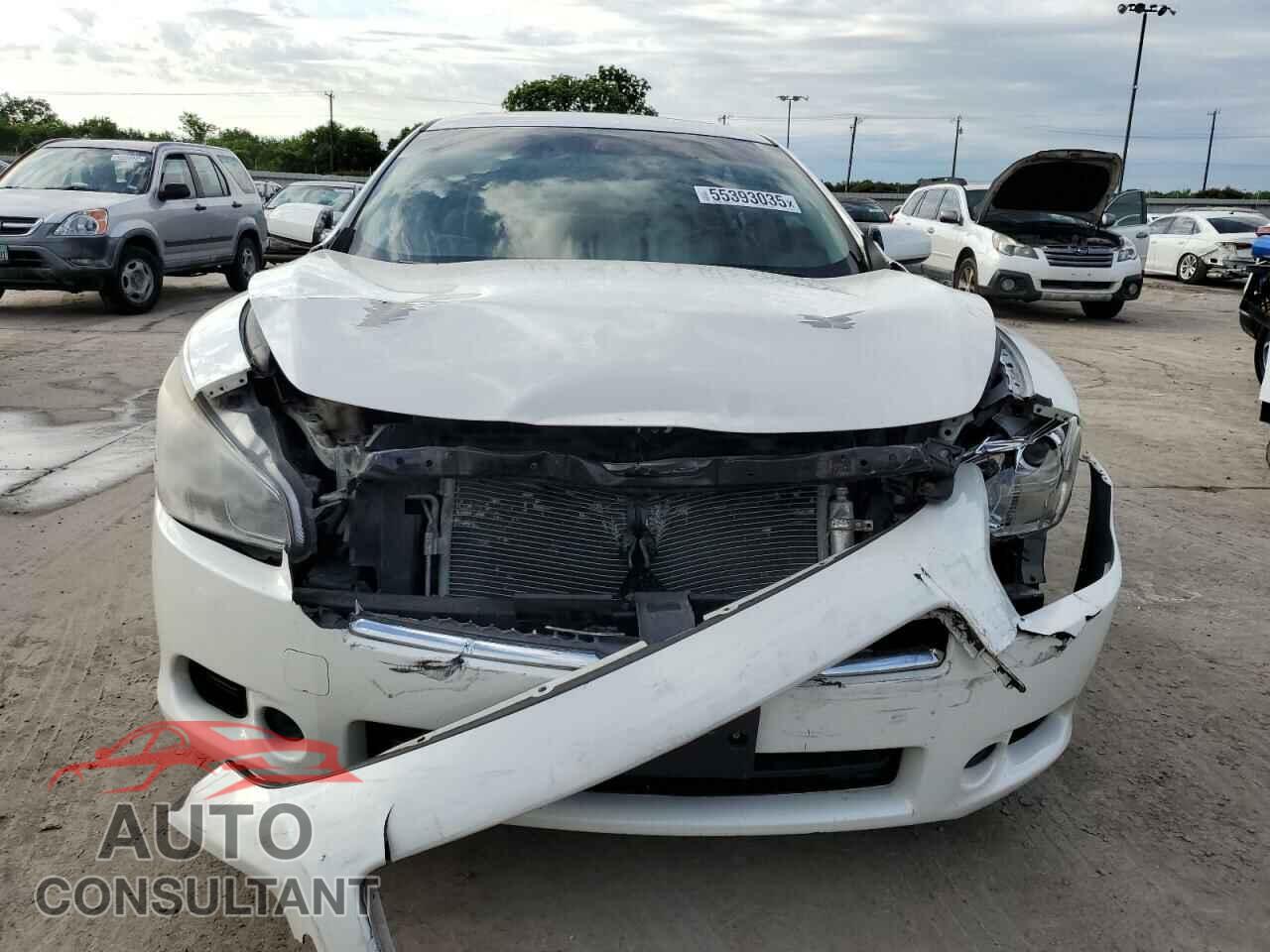 NISSAN MAXIMA 2010 - 1N4AA5AP2AC855170