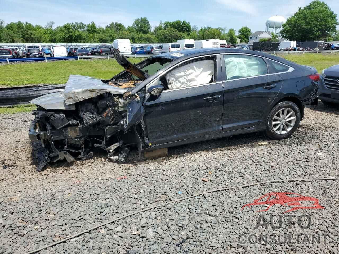 HYUNDAI SONATA 2019 - 5NPE24AF4KH778463
