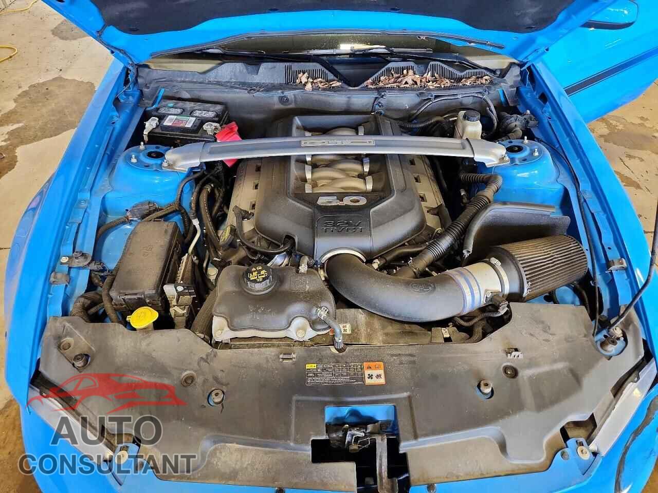 FORD MUSTANG 2011 - 1ZVBP8CF5B5111956