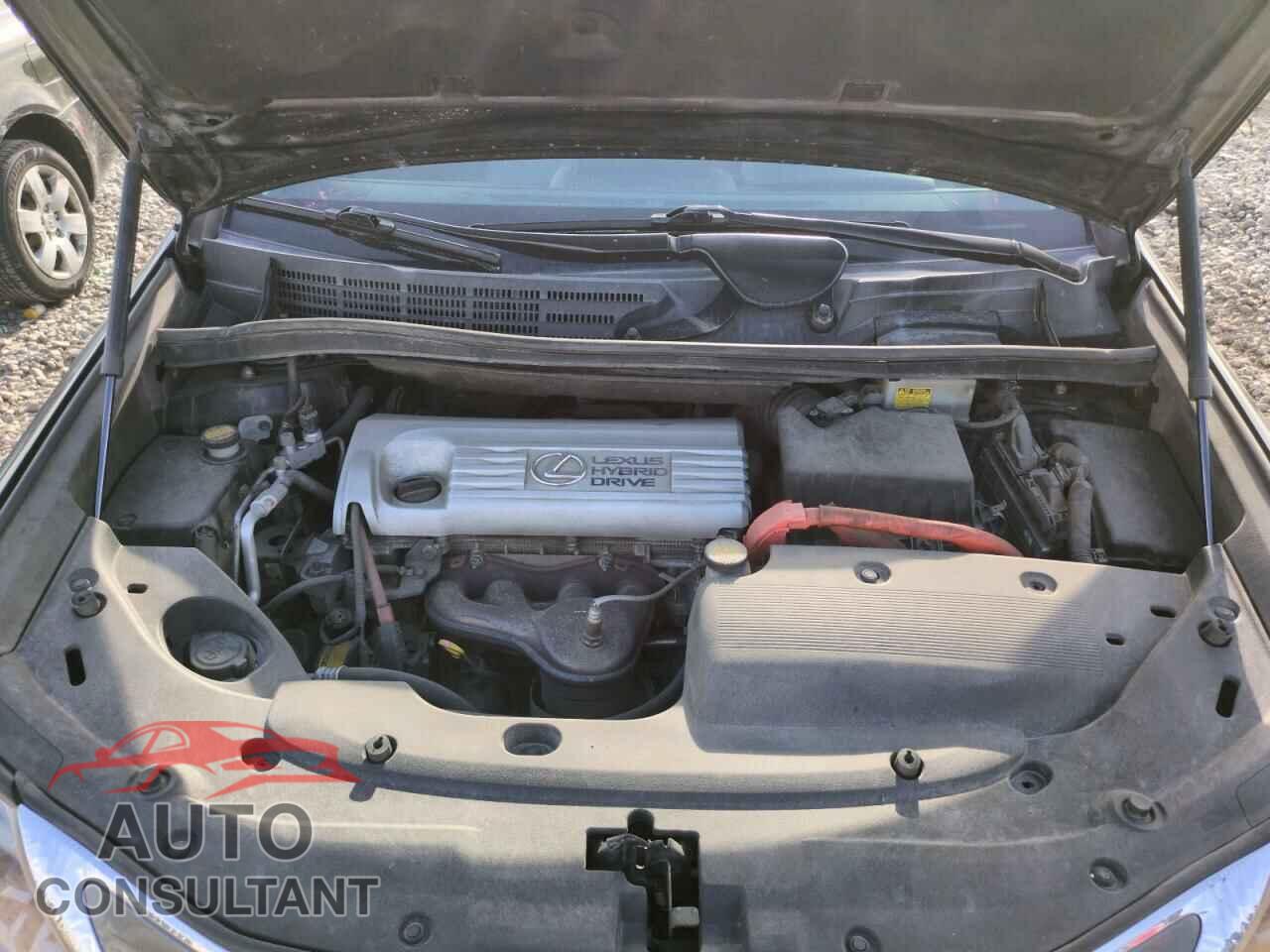 LEXUS HS 2010 - JTHBB1BA4A2023056