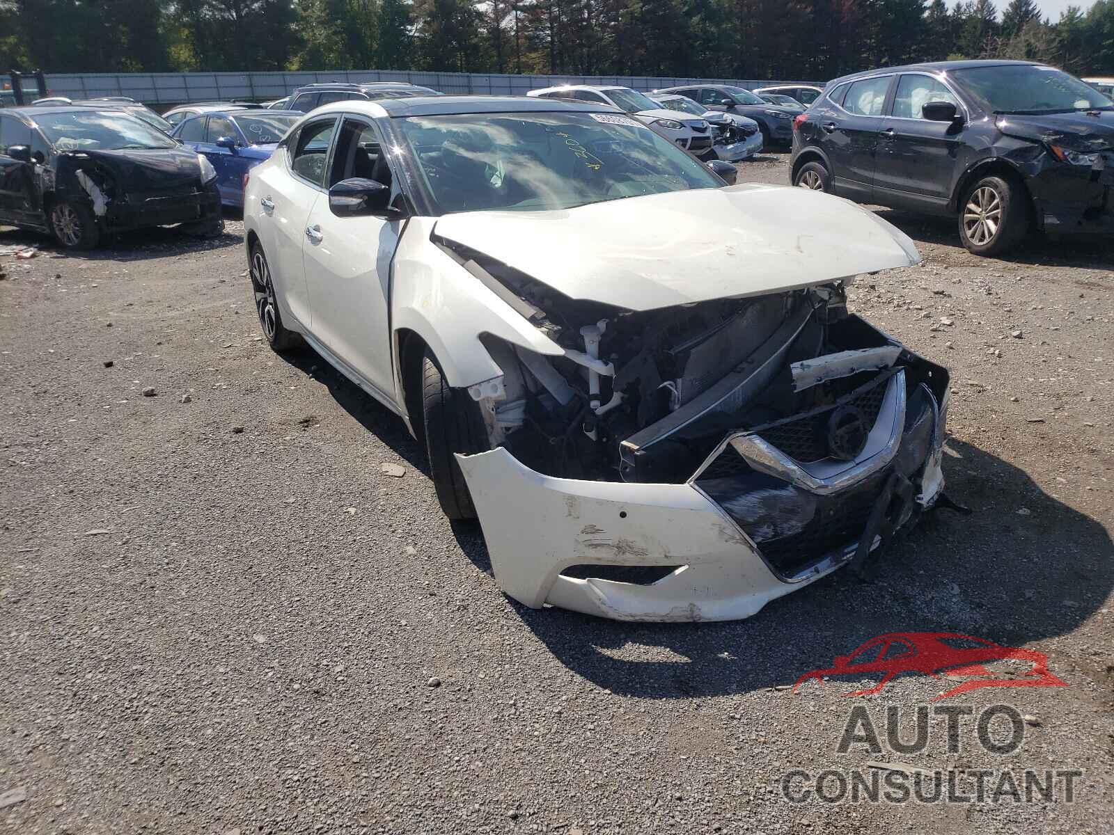 NISSAN MAXIMA 2017 - 1N4AA6AP8HC412571