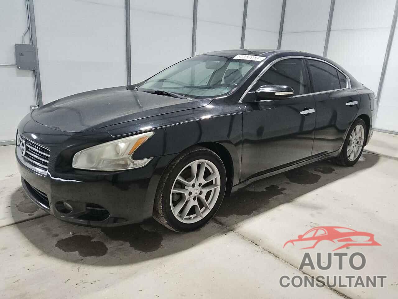 NISSAN MAXIMA 2011 - 1N4AA5AP6BC818897