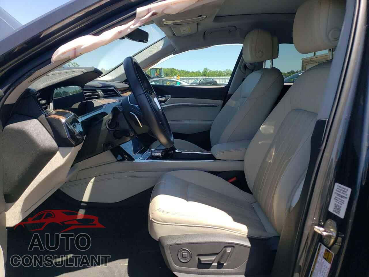 AUDI E-TRON 2019 - WA1LAAGE7KB010219