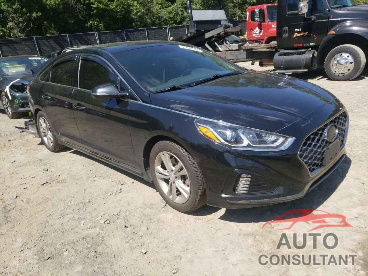 HYUNDAI SONATA 2018 - 5NPE34AF3JH612141