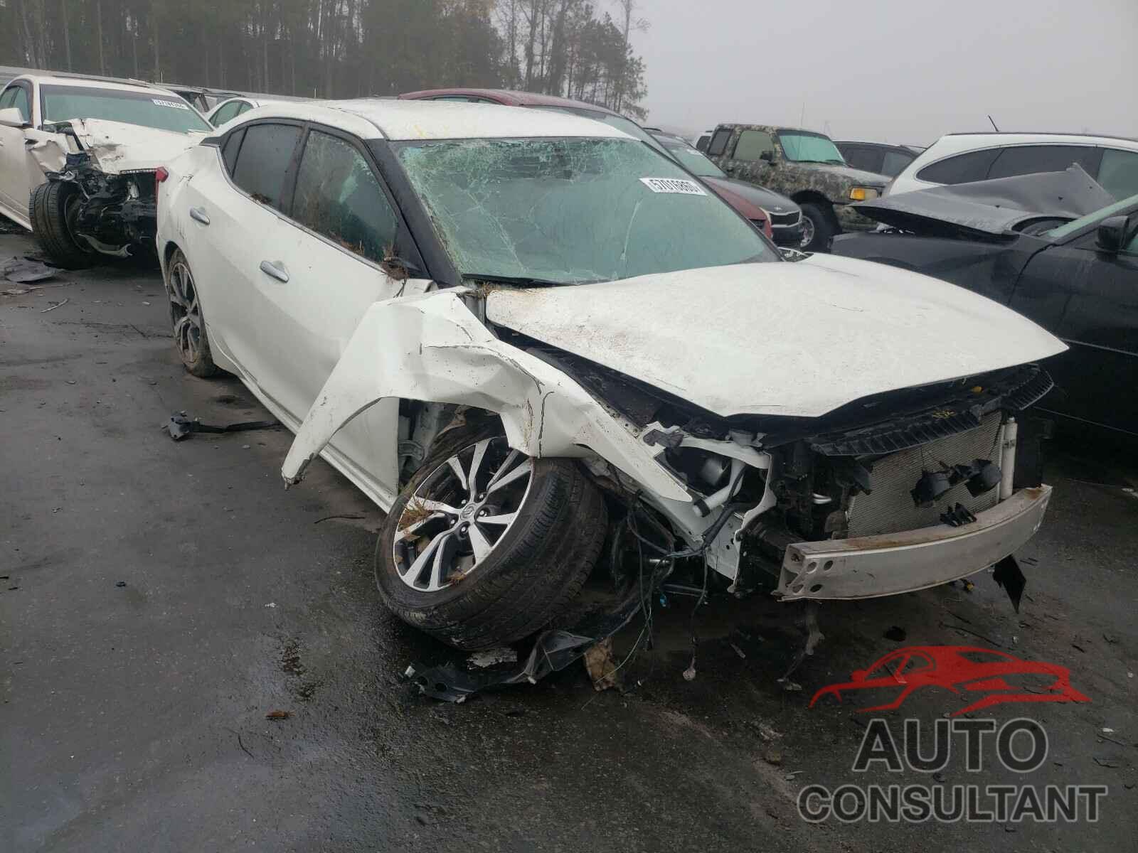 NISSAN MAXIMA 2017 - 1N4AA6AP9HC415737