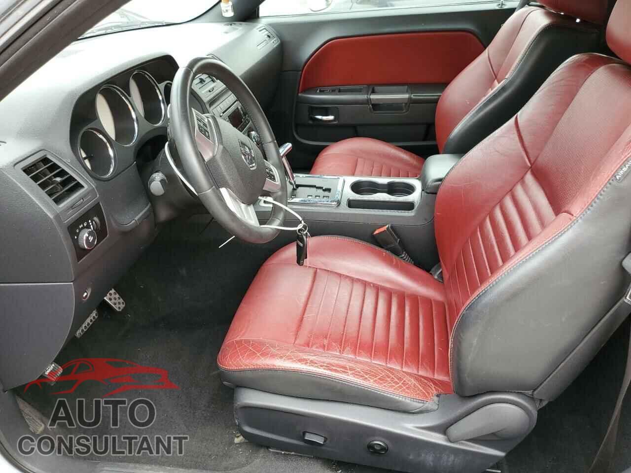 DODGE CHALLENGER 2013 - 2C3CDYBT8DH653236