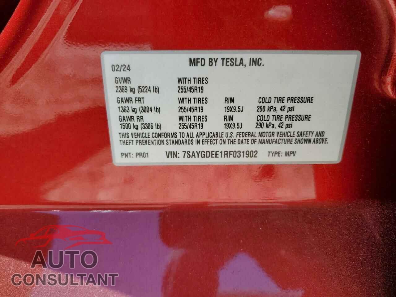 TESLA MODEL Y 2024 - 7SAYGDEE1RF031902