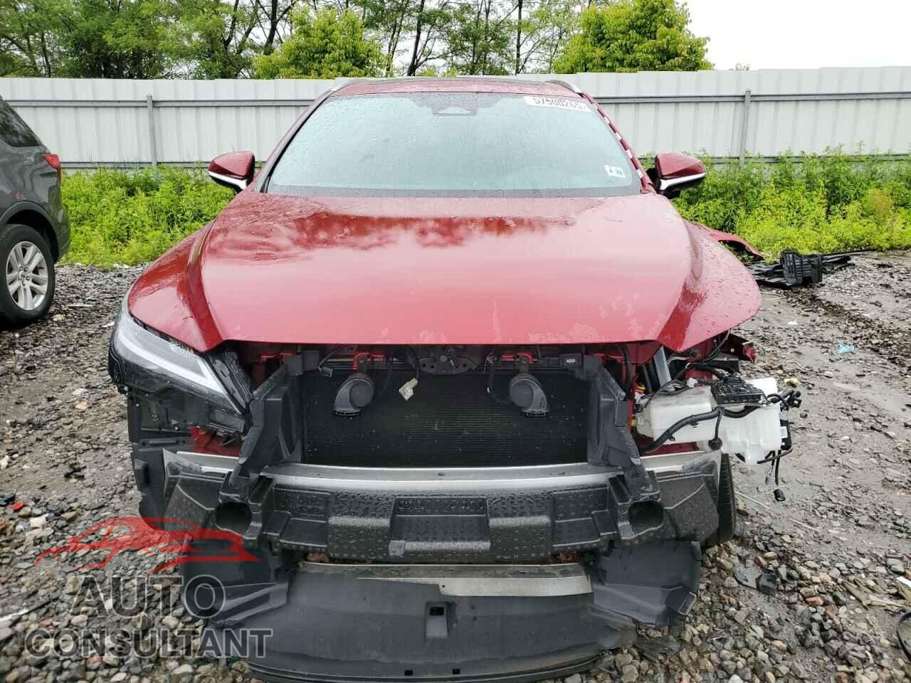 LEXUS RX350 2023 - 2T2BAMCA9PC013732
