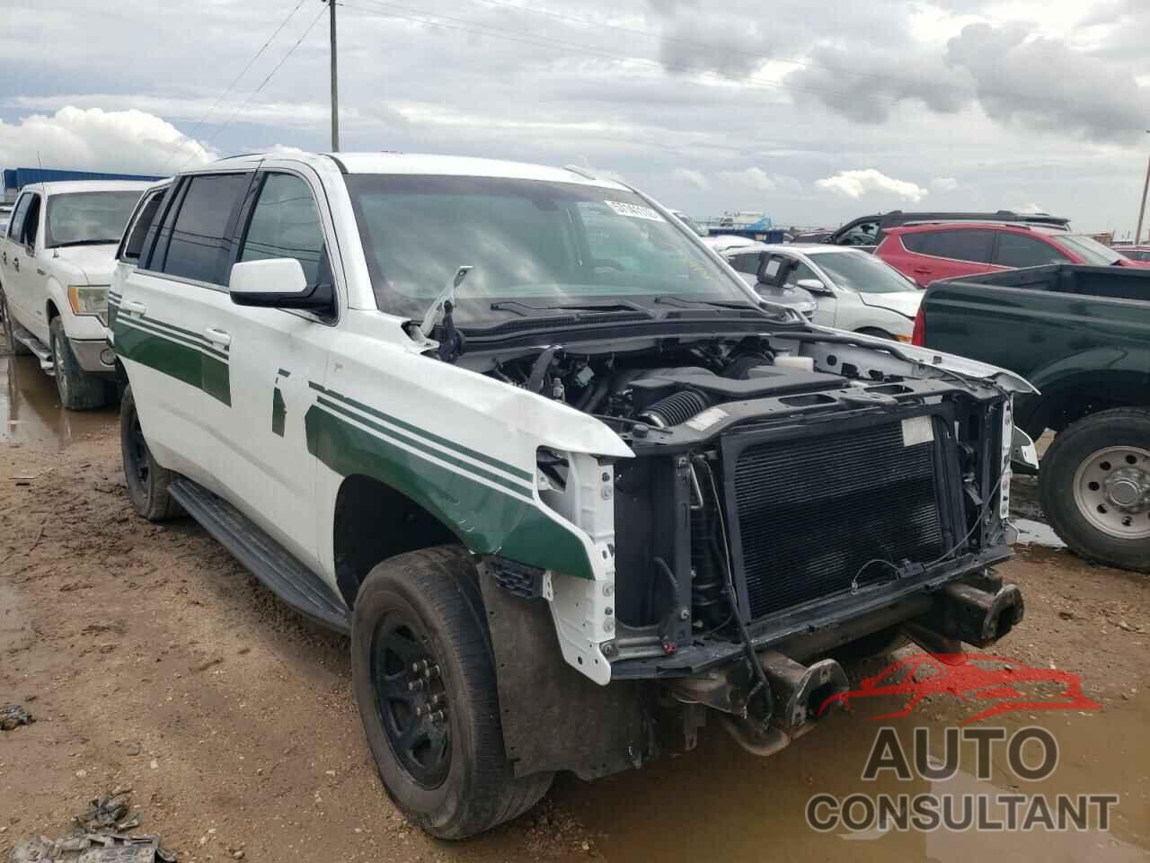 CHEVROLET TAHOE 2019 - 1GNLCDEC4KR251723