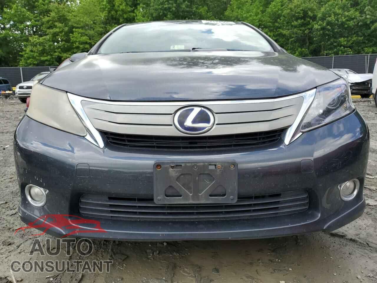 LEXUS HS 2011 - JTHBB1BA5B2046802