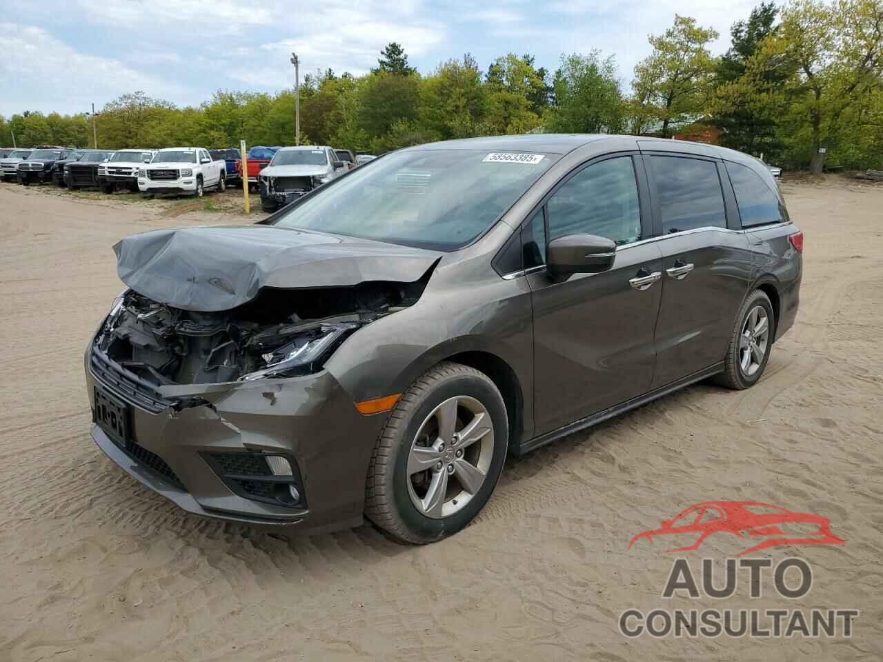 HONDA All Models 2019 - 5FNRL6H74KB128877