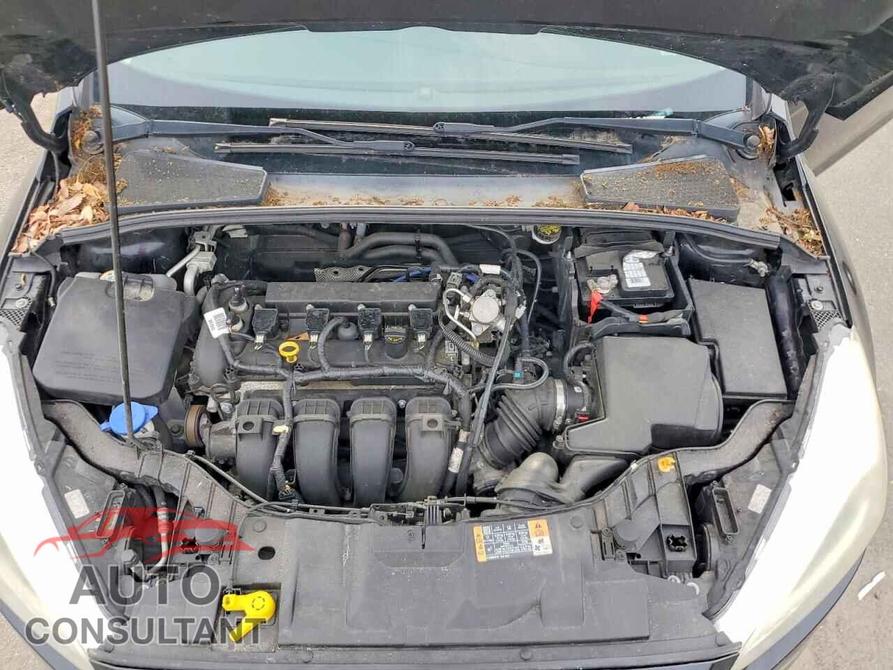 FORD FOCUS 2016 - 1FADP3F21GL323544