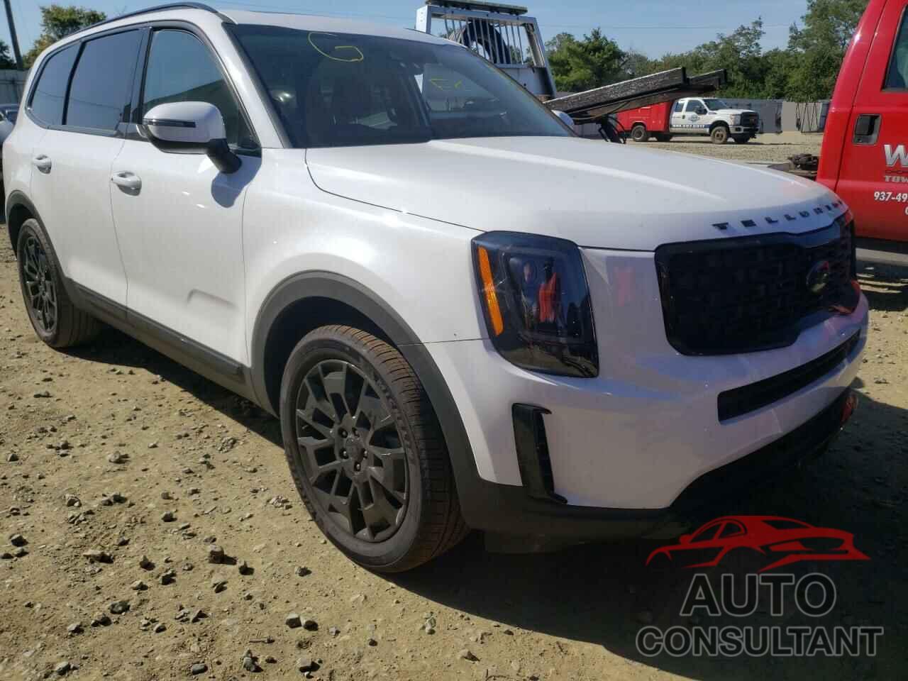 KIA TELLURIDE 2021 - 5XYP3DHC5MG159589