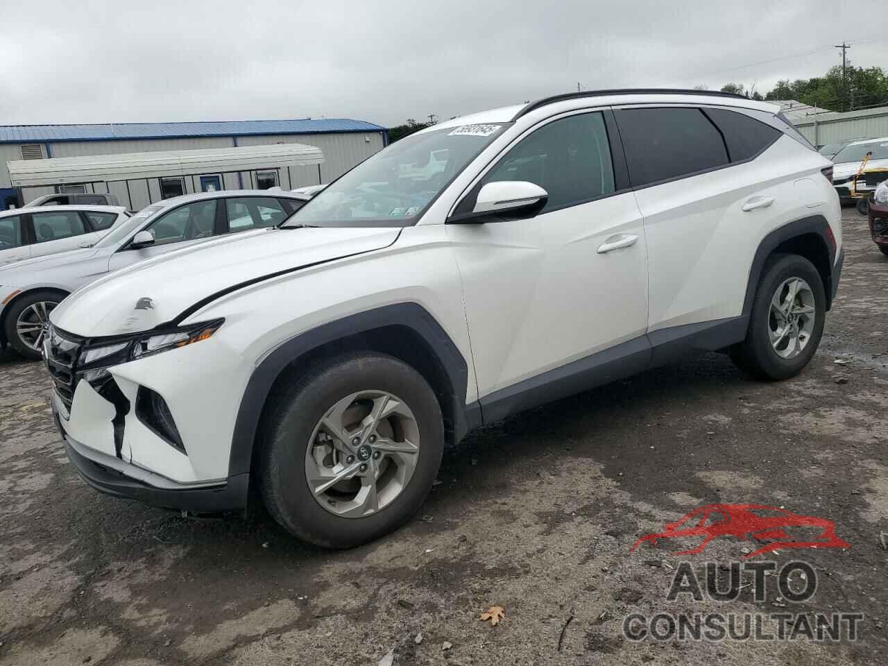 HYUNDAI TUCSON 2023 - 5NMJBCAE3PH182443