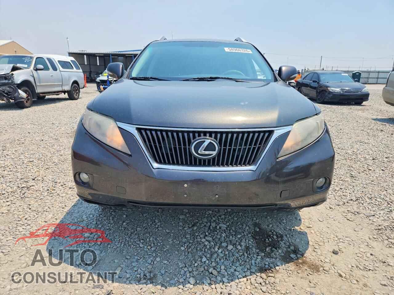 LEXUS RX350 2010 - 2T2BK1BA5AC039359