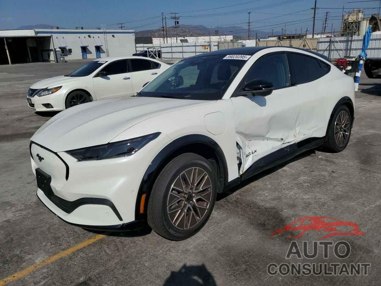 FORD MUSTANG 2024 - 3FMTK3R79RMA46294