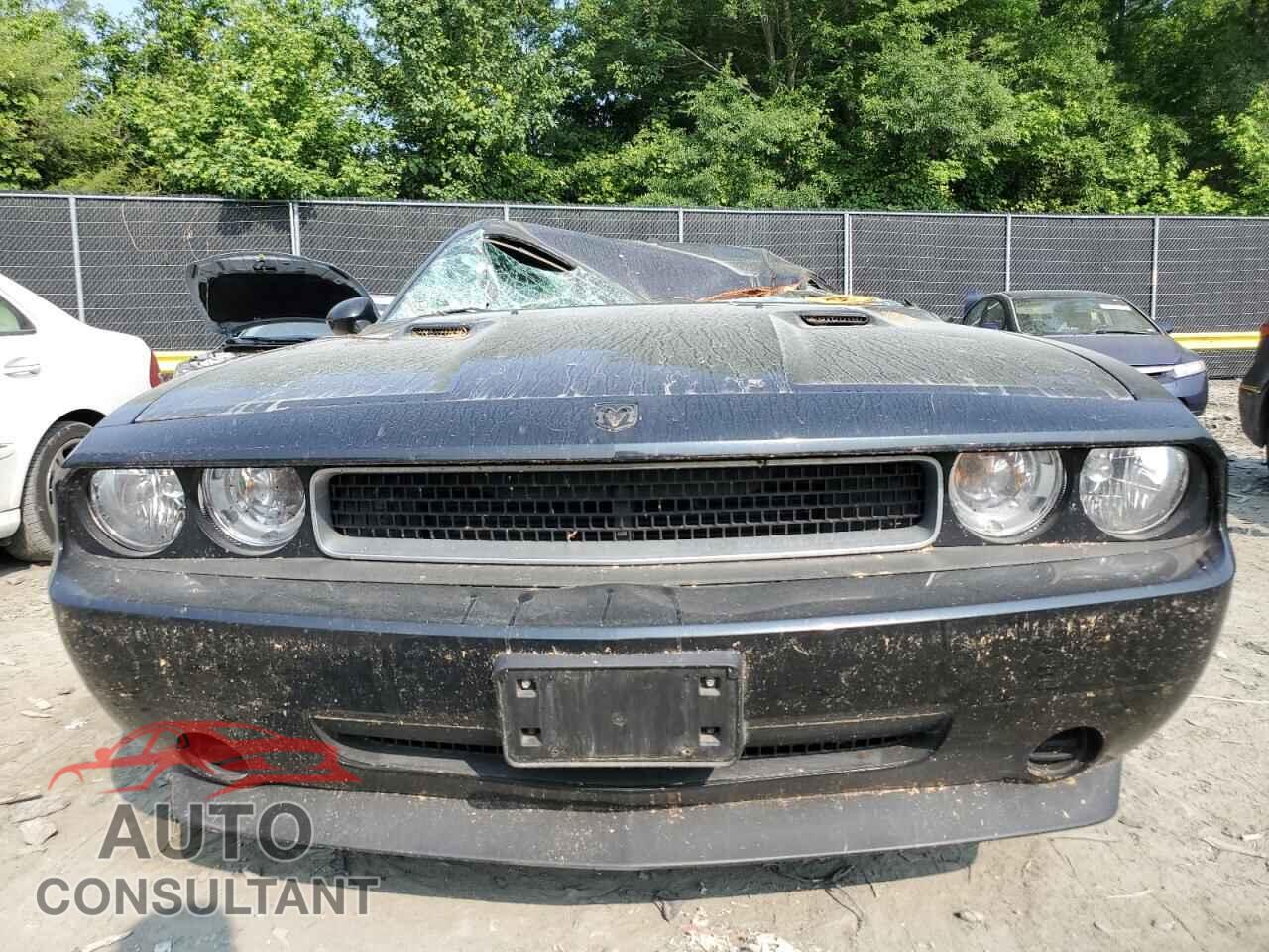DODGE CHALLENGER 2010 - 2B3CJ4DV2AH212386