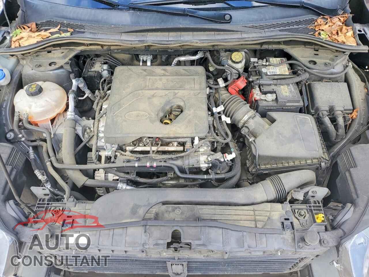 FORD ESCAPE 2020 - 1FMCU0F66LUA66798