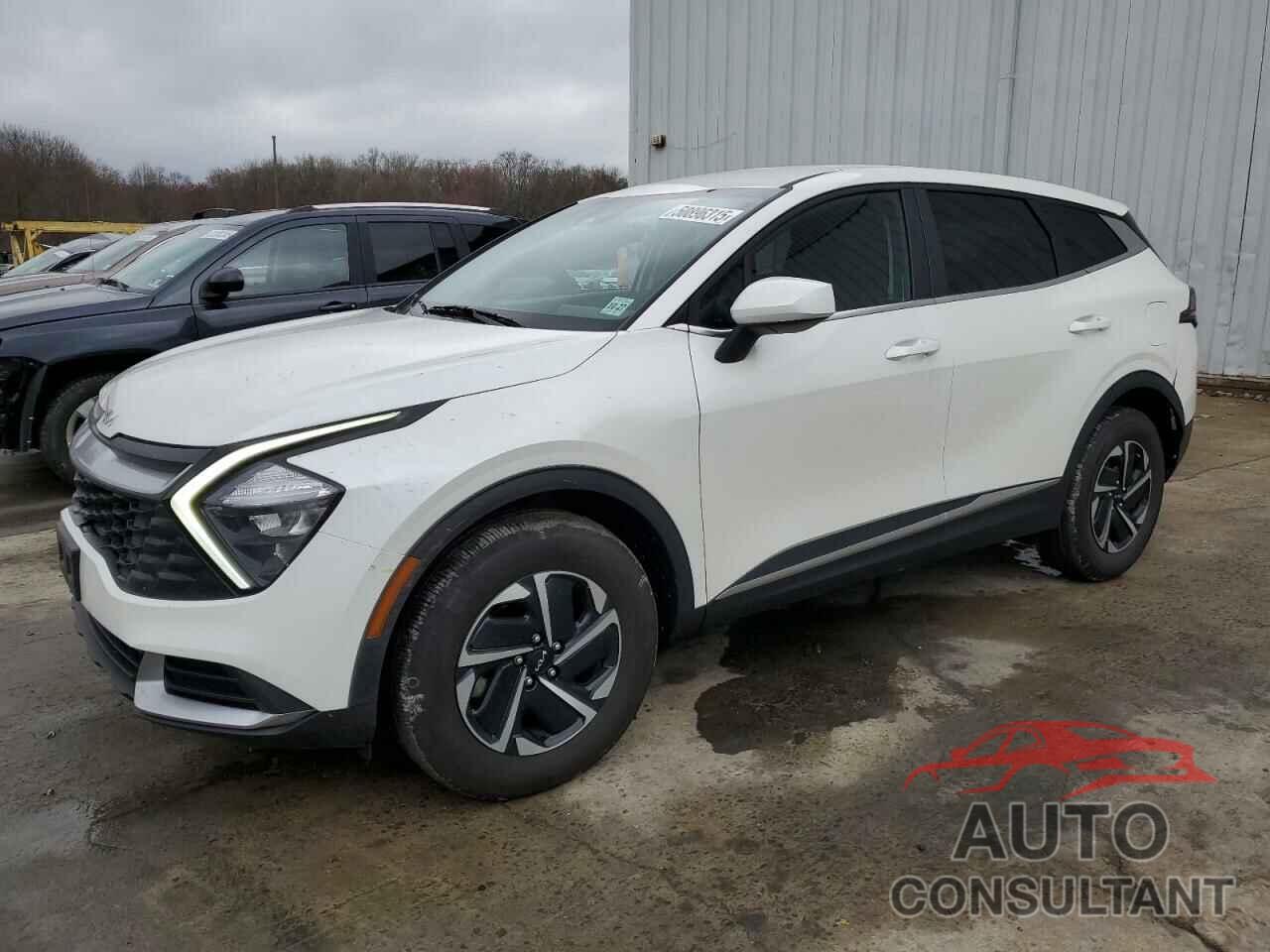 KIA SPORTAGE 2023 - KNDPUCAG7P7033580