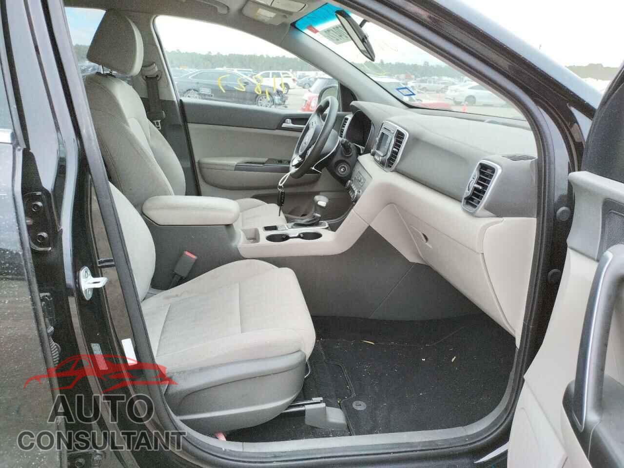KIA SPORTAGE 2019 - KNDPM3AC3K7566743