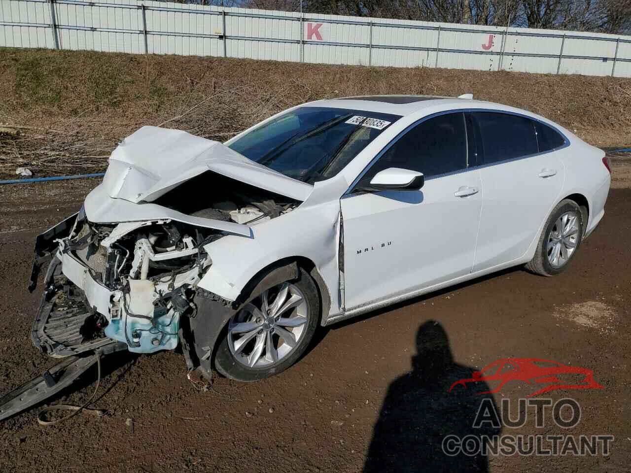 CHEVROLET MALIBU 2019 - 1G1ZD5ST9KF148284