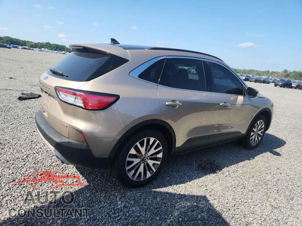 FORD ESCAPE 2020 - 1FMCU0DZ0LUC13730