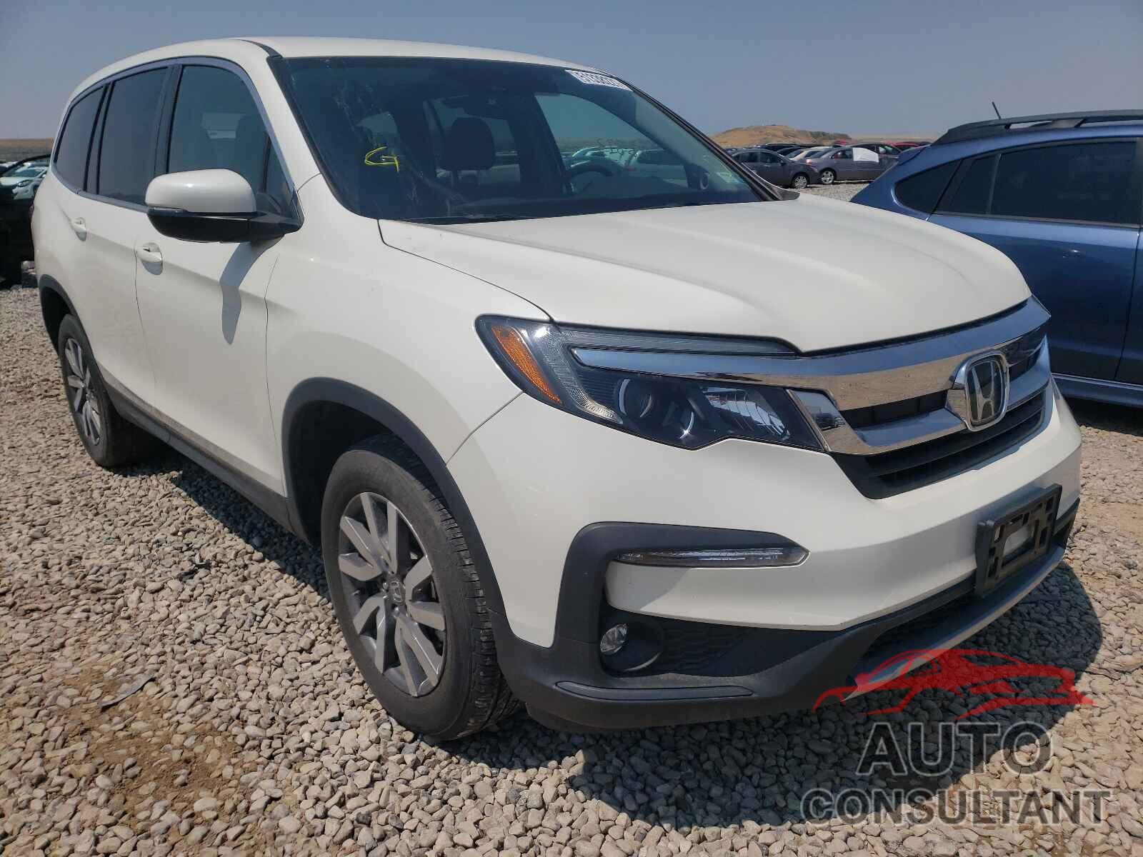HONDA PILOT 2019 - 5FNYF6H36KB050442
