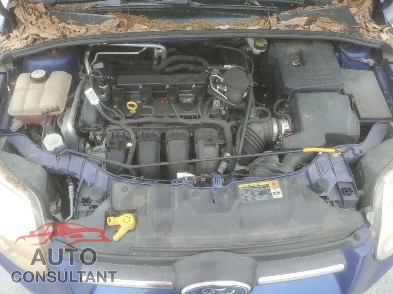 FORD FOCUS 2012 - 1FAHP3E29CL241994