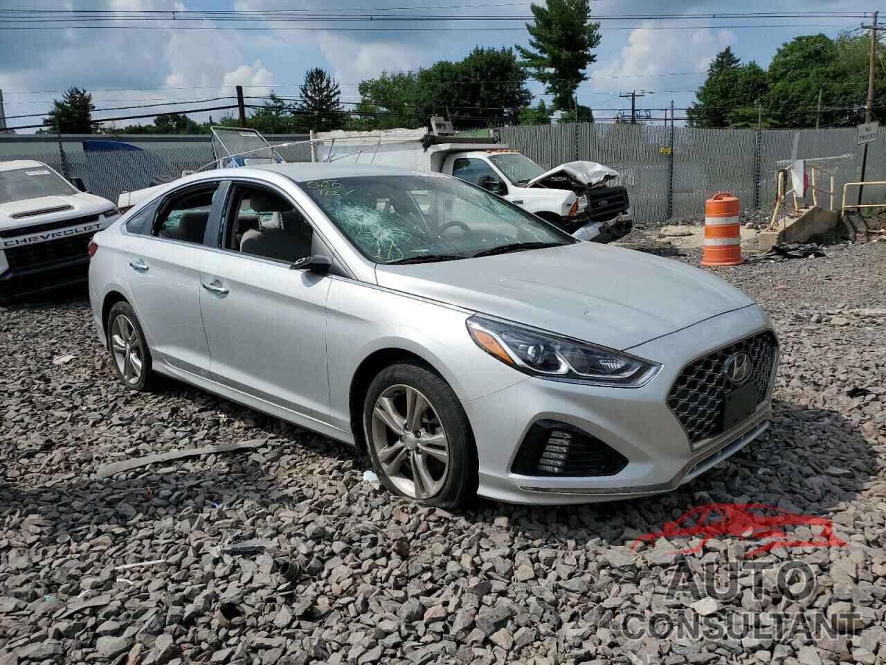 HYUNDAI SONATA 2019 - 5NPE34AFXKH784975