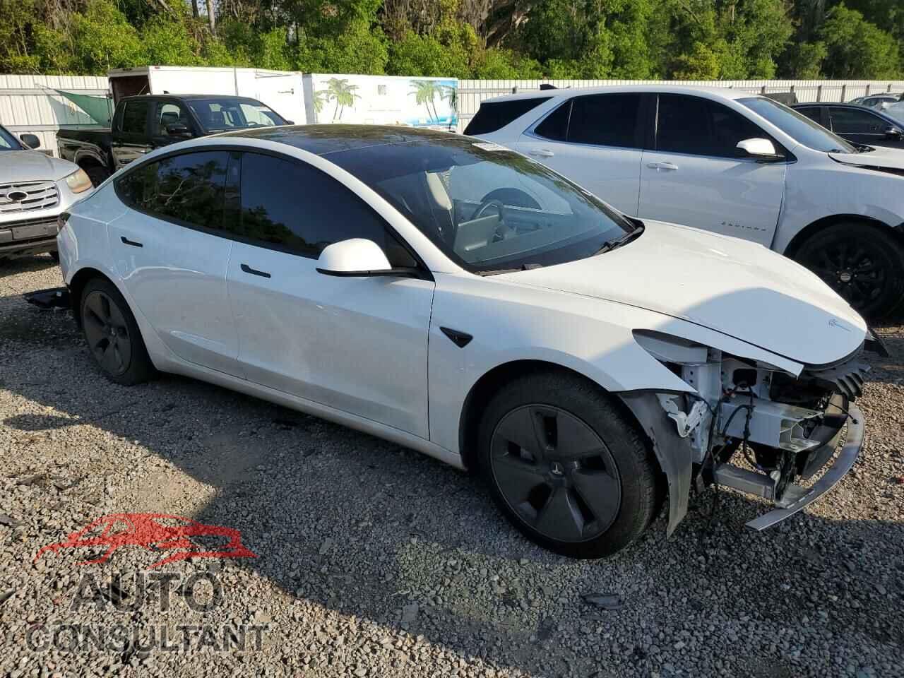 TESLA MODEL 3 2021 - 5YJ3E1EA3MF855031