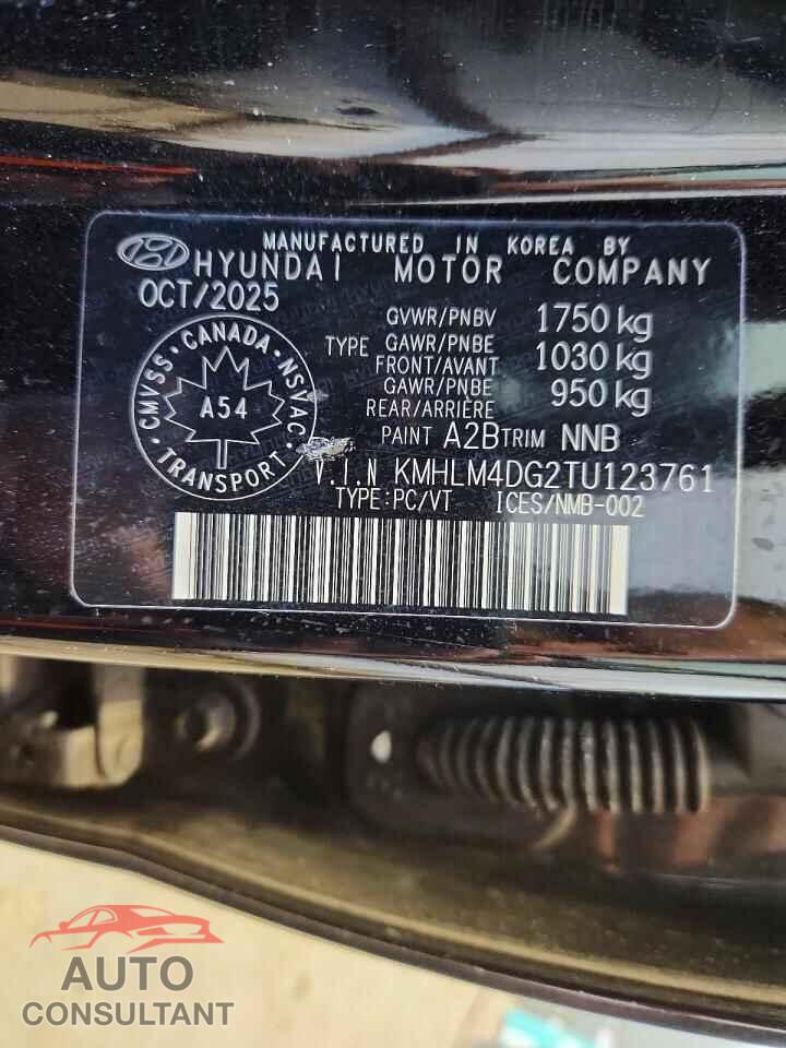HYUNDAI ELANTRA 2026 - KMHLM4DG2TU123761