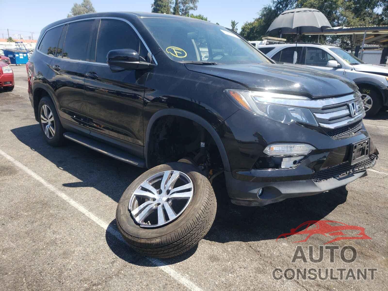 HONDA PILOT 2017 - 5FNYF5H52HB036641