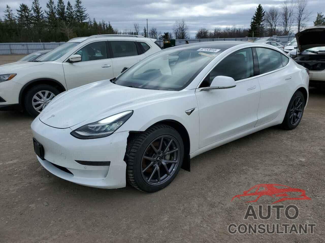 TESLA MODEL 3 2019 - 5YJ3E1EA9KF464589