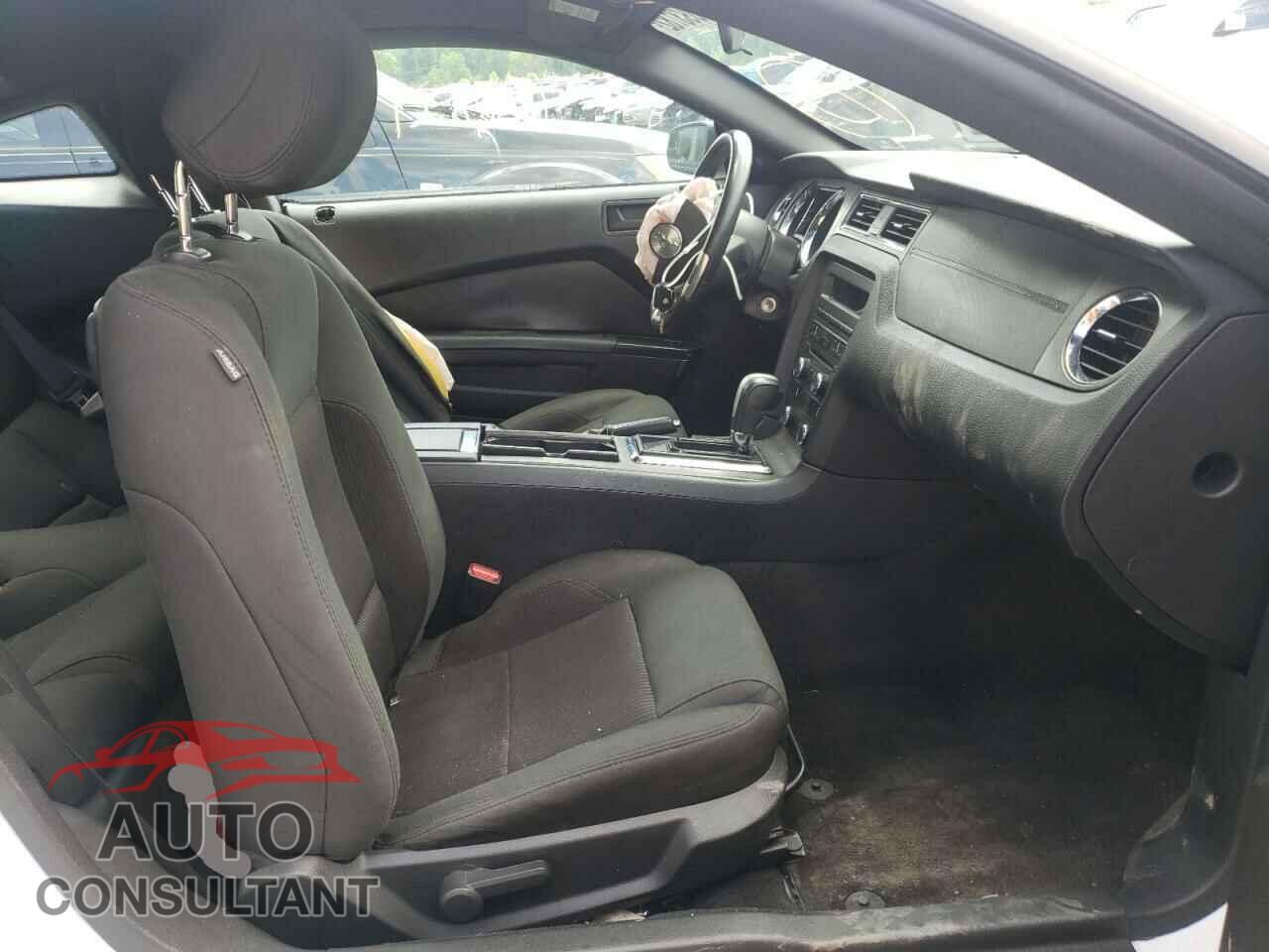 FORD MUSTANG 2014 - 1ZVBP8AM4E5245668