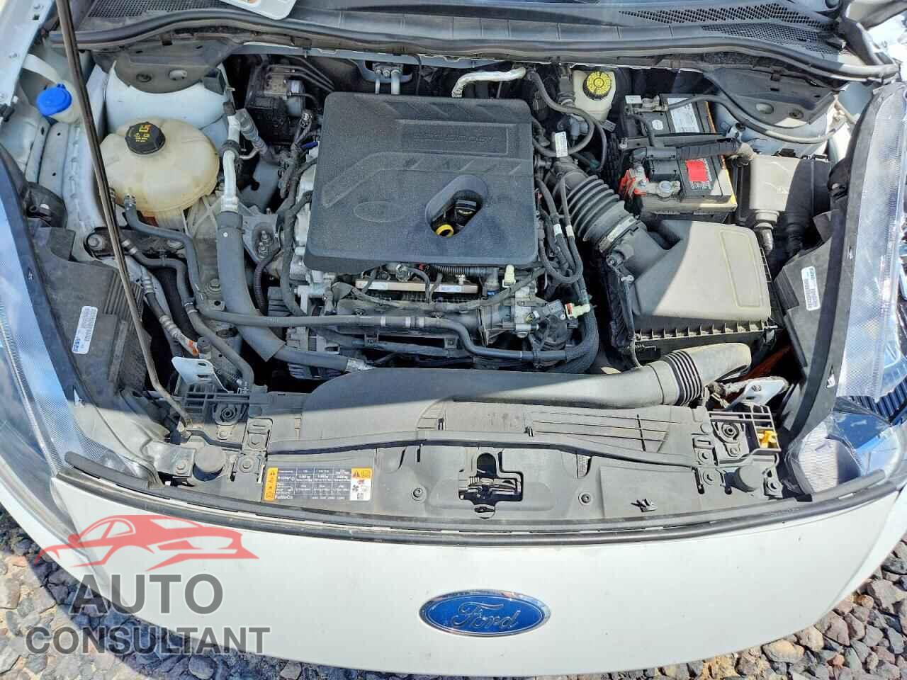 FORD ESCAPE 2020 - 1FMCU9G64LUA81559