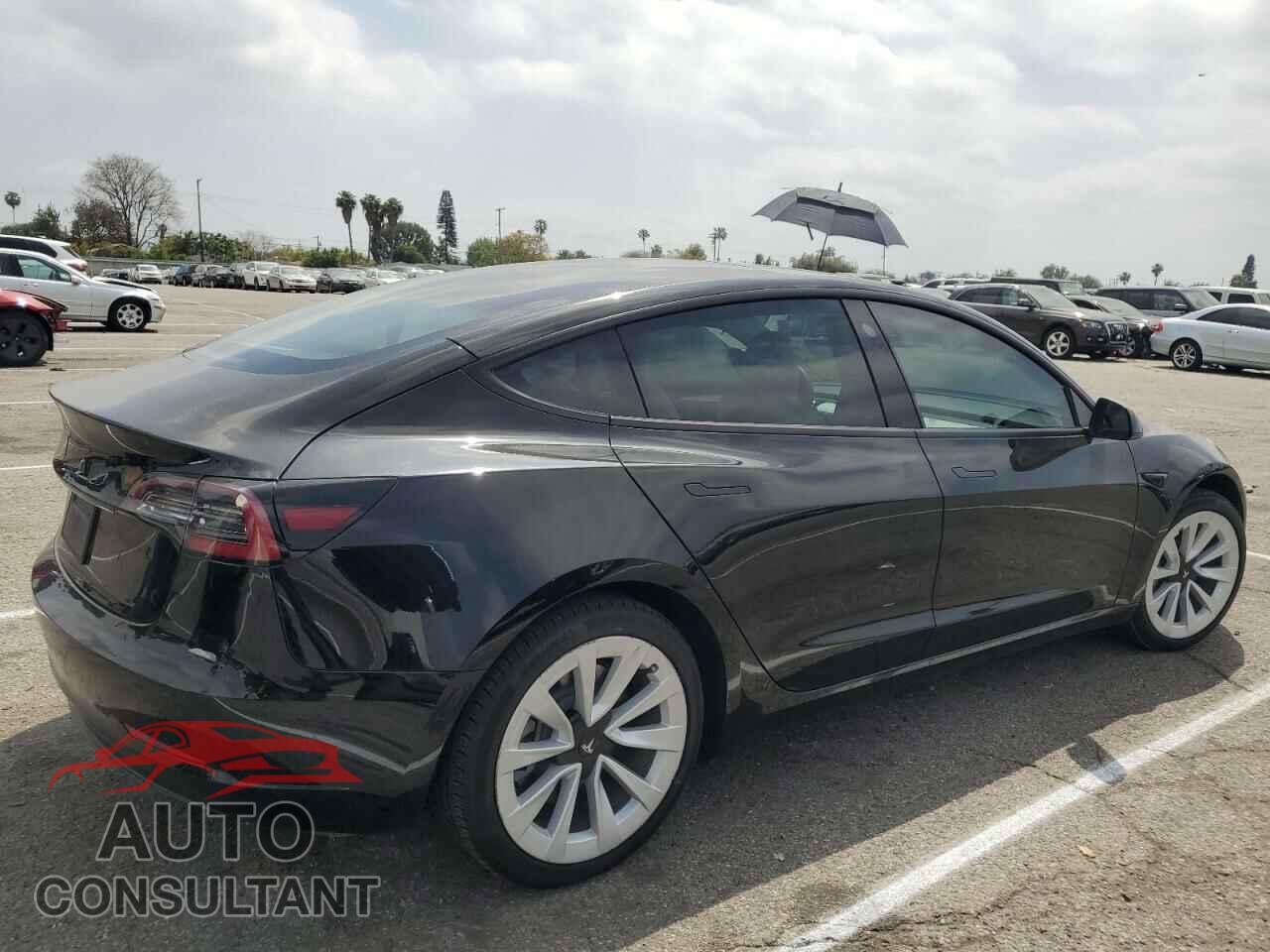 TESLA MODEL 3 2021 - 5YJ3E1EA5MF089903