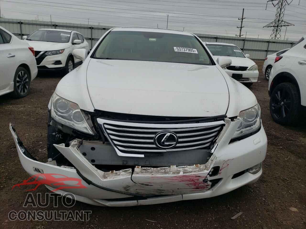 LEXUS LS460 2010 - JTHCL5EF7A5008324