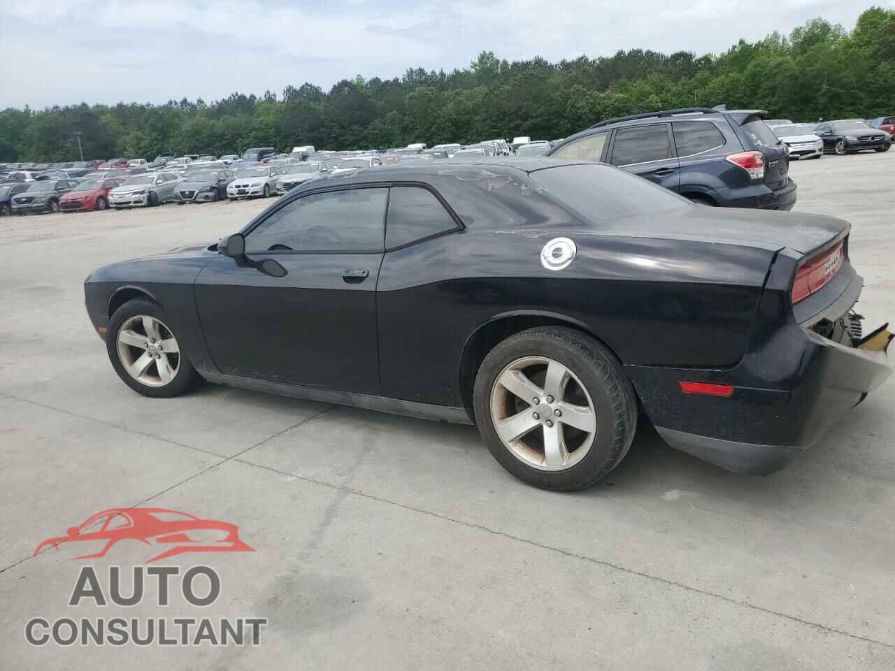 DODGE CHALLENGER 2013 - 2C3CDYAG6DH645978