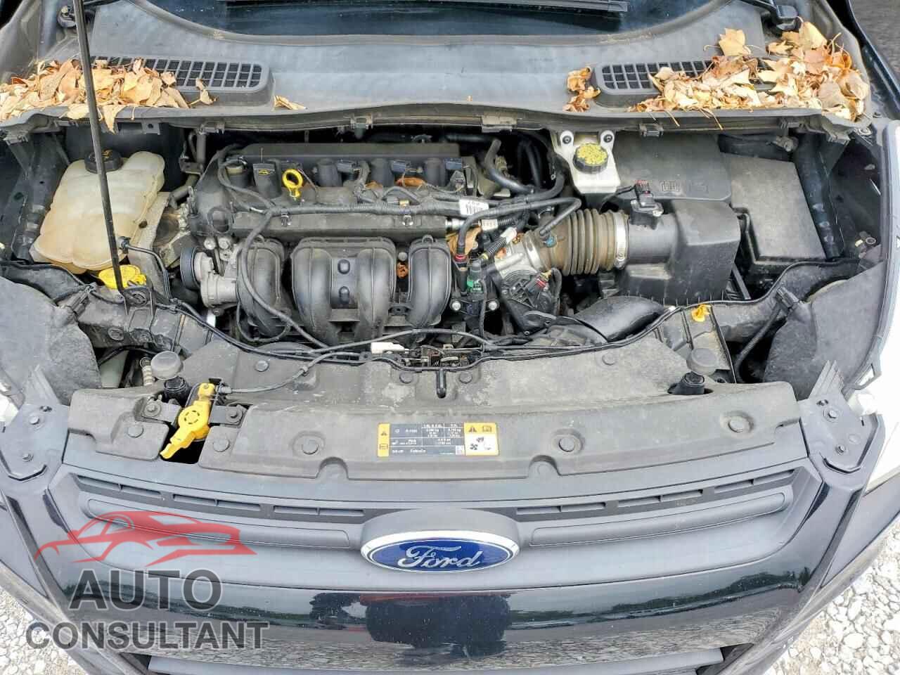 FORD ESCAPE 2016 - 1FMCU0F77GUA51161